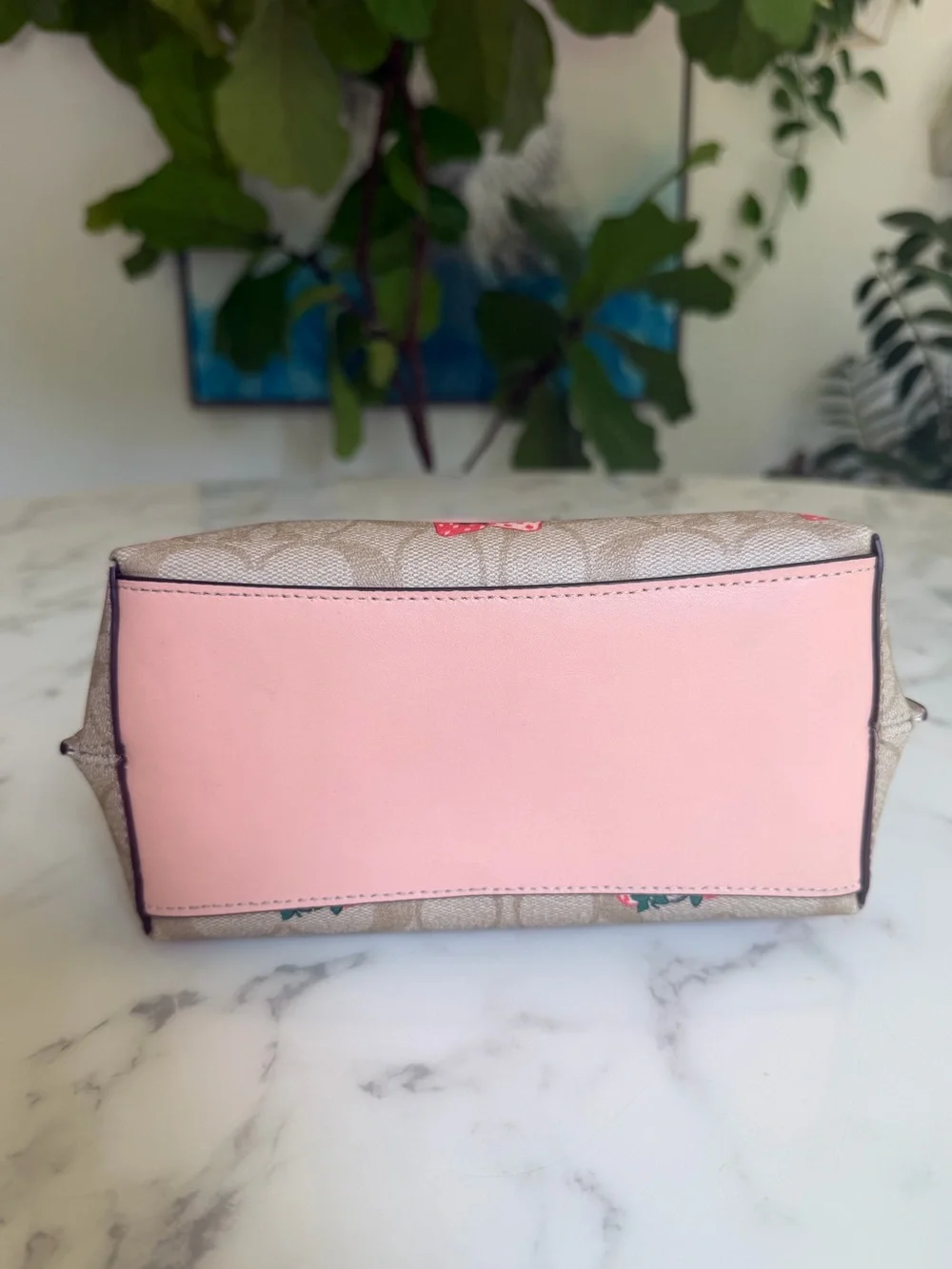 Coach Mollie Bucket Bag 22 In Signature Canvas With Strawberry Print CB602